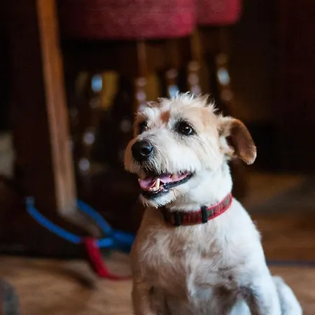 The Old Mullion